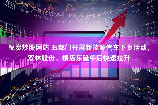 配资炒股网站 五部门开展新能源汽车下乡活动，双林股份、横店东磁午后快速拉升