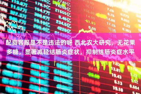 配资客服是不是违法的呀 西北农大研究，无花果多糖，显著减轻结肠炎症状，抑制结肠炎症水平